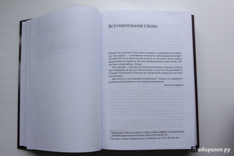 Иллюстрация 6 из 35 для Дневник - Витольд Гомбрович | Лабиринт - книги. Источник: Kirsten