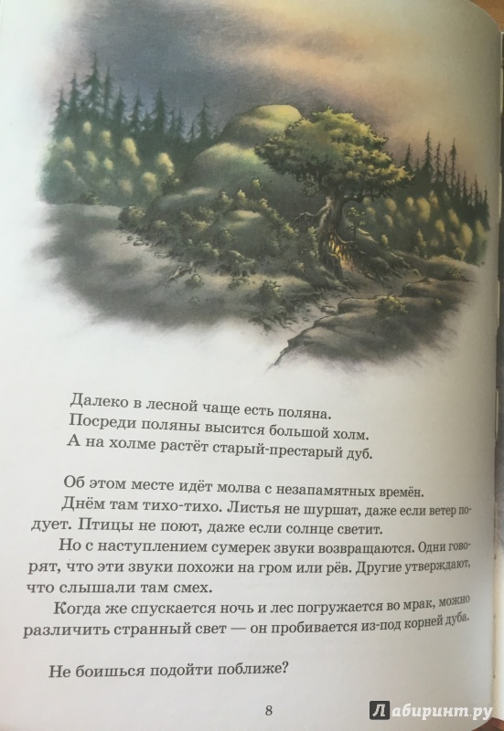 Иллюстрация 7 из 32 для Волшебный корень - Сиссель Бёэ | Лабиринт - книги. Источник: Эльвира Булгакова