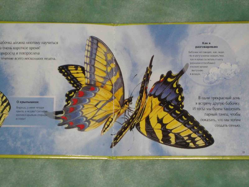 Иллюстрация 10 из 10 для Лети, бабочка, лети! | Лабиринт - книги. Источник: Трухина Ирина