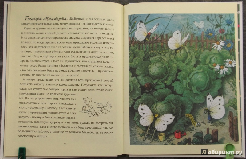 Иллюстрация 56 из 80 для Крапинка - Эрих Хайнеманн | Лабиринт - книги. Источник: Агаточка
