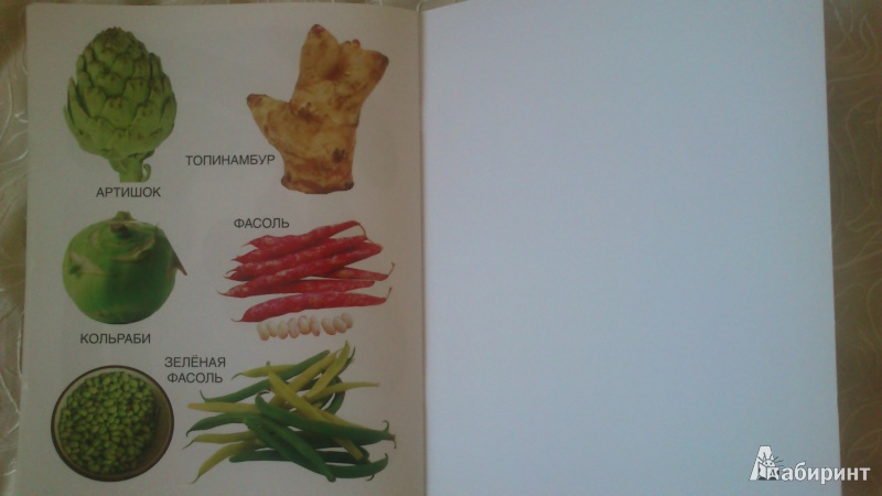 Иллюстрация 9 из 9 для Мои блестящие книжки. Овощи | Лабиринт - книги. Источник: Гришина  Юлия
