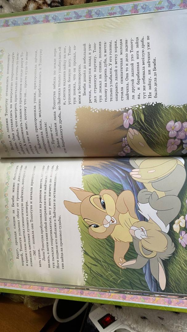 Иллюстрация 45 из 47 для Бемби. Приключения оленёнка. Disney | Лабиринт - книги. Источник: Лабиринт