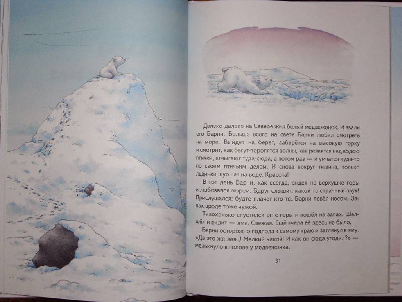 Иллюстрация 24 из 86 для Барни, белый медвежонок - Беер Де | Лабиринт - книги. Источник: Майский день