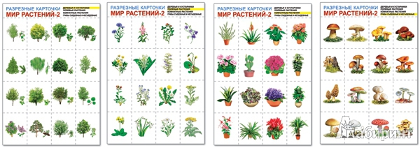 Иллюстрация 2 из 11 для Мир растений-2. Комплект разрезных карточек | Лабиринт - книги. Источник: Замбржицкий  Игорь