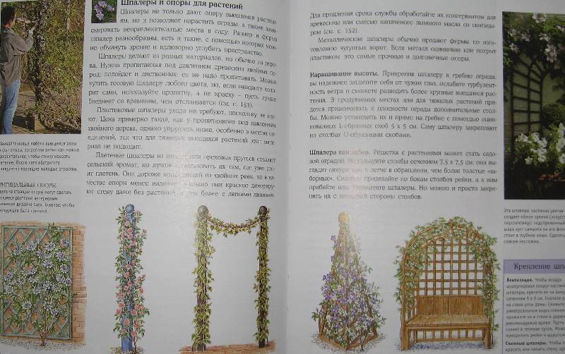 Иллюстрация 11 из 30 для Дивный сад без лишних хлопот | Лабиринт - книги. Источник: Флоренция