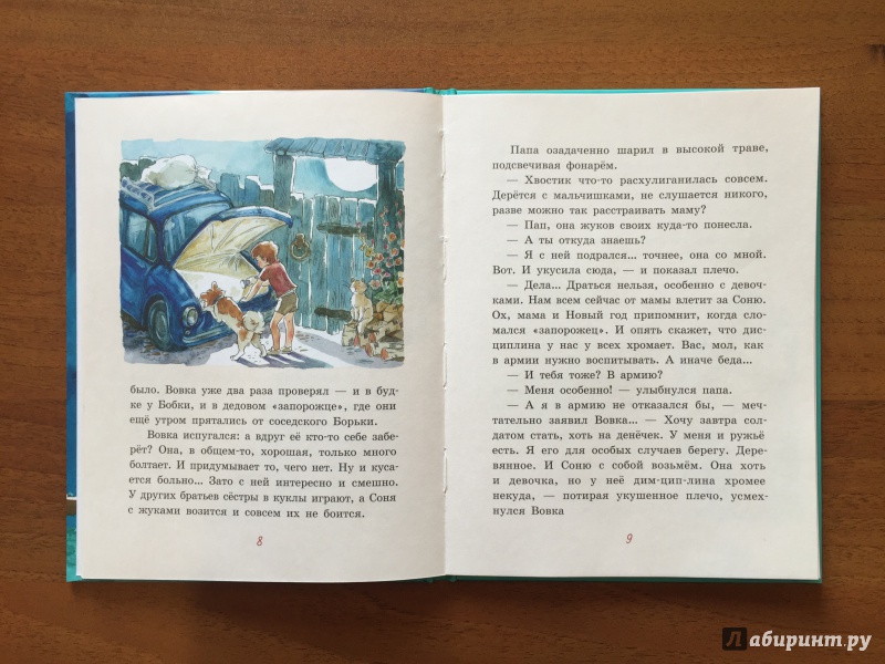 Иллюстрация 21 из 36 для Лунный жук - Анна Доброчасова | Лабиринт - книги. Источник: iam_O_K