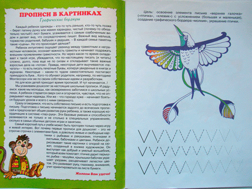 Иллюстрация 11 из 28 для Прописи с крылышками - Ирина Лыкова | Лабиринт - книги. Источник: Кошки-мышки