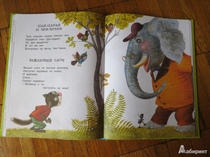 Иллюстрация 12 из 56 для Вежливый слон - Лунин, Левин, Муха | Лабиринт - книги. Источник: Шкарина  Алена