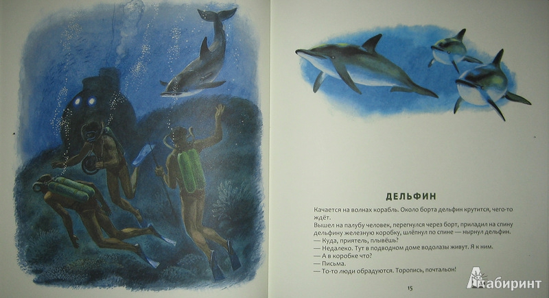 Иллюстрация 24 из 61 для Кто в море живет - Святослав Сахарнов | Лабиринт - книги. Источник: Трухина Ирина