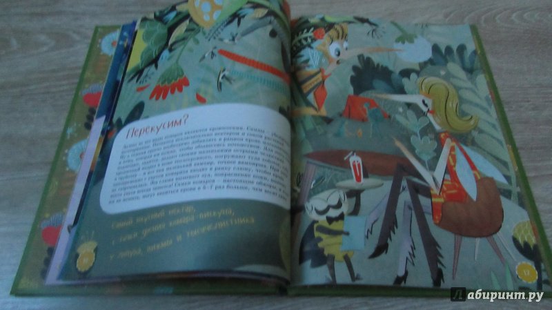 Иллюстрация 19 из 40 для Я комар - Валерий Сюткин | Лабиринт - книги. Источник: дюдюка барбидокская