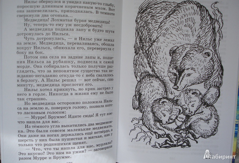 Иллюстрация 10 из 14 для Чудесное путешествие Нильса с дикими гусями - Сельма Лагерлеф | Лабиринт - книги. Источник: Чунга-чанга