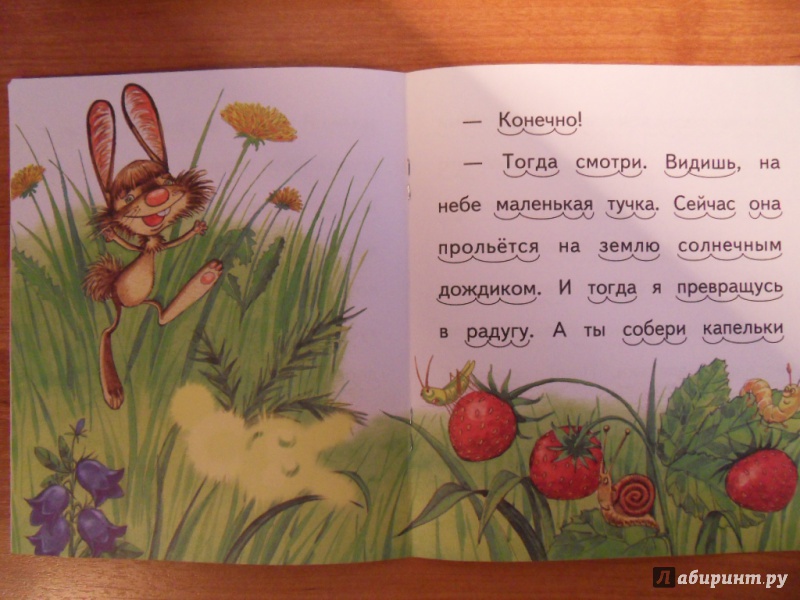 Иллюстрация 9 из 17 для Зайчонок и солнечный зайчик - Елена Ермолова | Лабиринт - книги. Источник: Елена