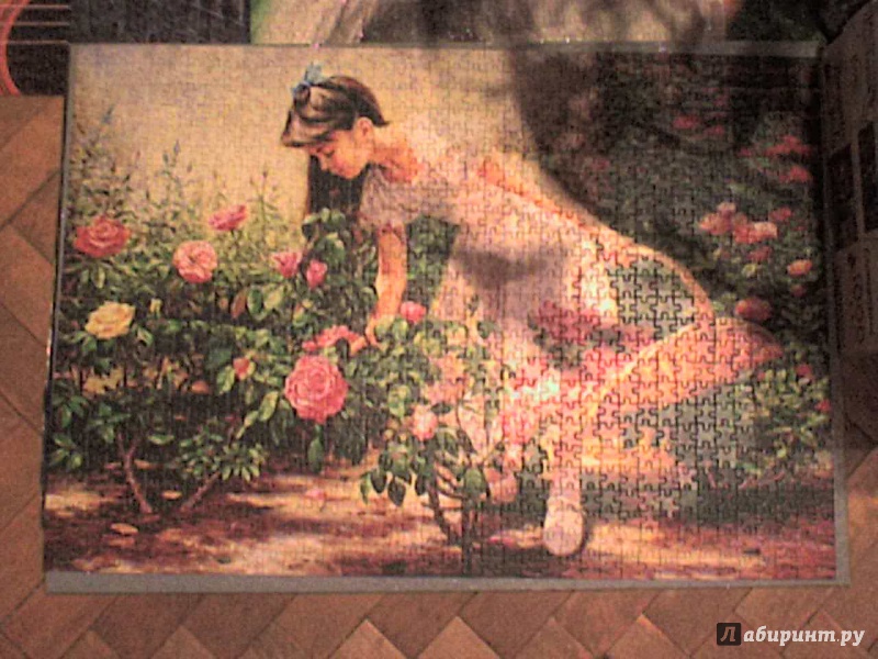 Иллюстрация 3 из 8 для Puzzle-1000 "В саду роз" (C-103126) | Лабиринт - игрушки. Источник: Роза с шипами