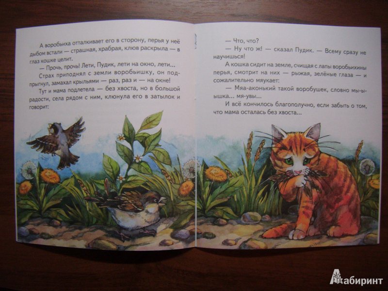 Иллюстрация 4 из 5 для Воробьишко - Максим Горький | Лабиринт - книги. Источник: Куватов  Альберт