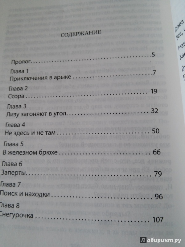 Иллюстрация 14 из 14 для Западня. Книга 1. Шельф - Карина Шаинян | Лабиринт - книги. Источник: Princess/Bubblegum