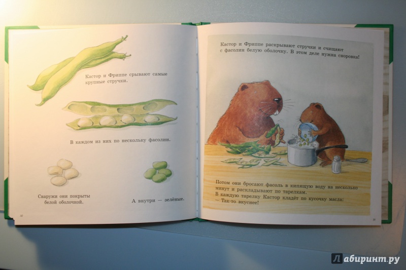 Иллюстрация 5 из 43 для Огород Кастора - Ларс Клинтинг | Лабиринт - книги. Источник: Jus