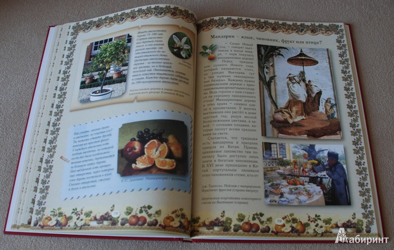 Иллюстрация 34 из 48 для Прогулки по саду - Елена Ракитина | Лабиринт - книги. Источник: Книжный кот