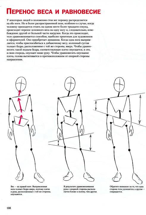 Иллюстрация 30 из 35 для Анатомия для художника. Совсем просто - Кристофер Харт | Лабиринт - книги. Источник: Спанч Боб