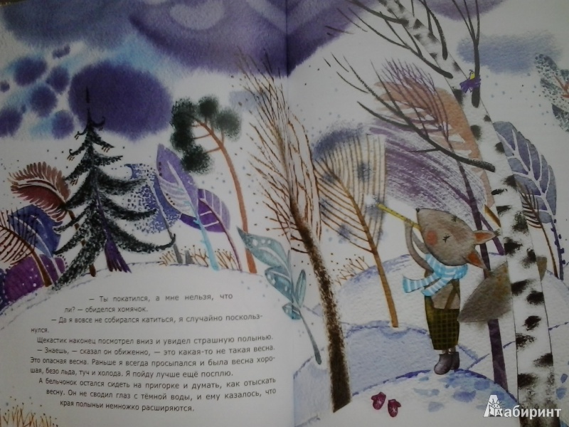 Иллюстрация 27 из 48 для Бельчонок, его друзья и волшебная книга - Ольга Фадеева | Лабиринт - книги. Источник: Dogdik