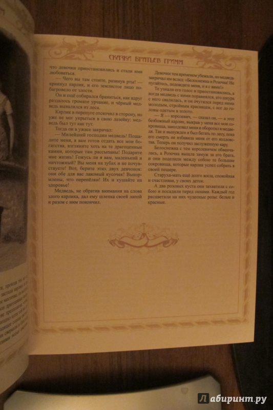 Иллюстрация 9 из 35 для Сказки братьев Гримм - Гримм Якоб и Вильгельм | Лабиринт - книги. Источник: Hitopadesa