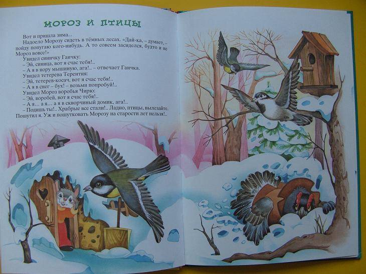 Иллюстрация 5 из 17 для Сказки лесной полянки - Валерий Кастрючин | Лабиринт - книги. Источник: мама малыша