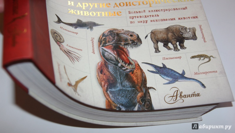 Иллюстрация 21 из 21 для Динозавры и другие доисторические животные. Детская энциклопедия | Лабиринт - книги. Источник: SvetlanaS