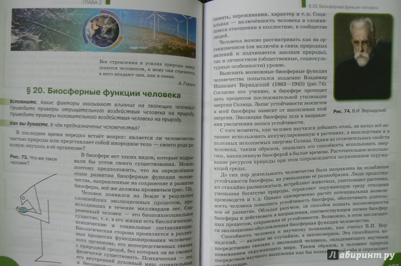 Иллюстрация 5 из 5 для Экология. 11 класс. Учебник. Базовый уровень. ФГОС - Суравегина, Мамедов | Лабиринт - книги. Источник: Марина