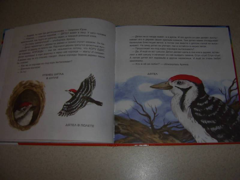 Иллюстрация 24 из 27 для Птицы и Андрей-воробей - Татьяна Рик | Лабиринт - книги. Источник: Лилианна