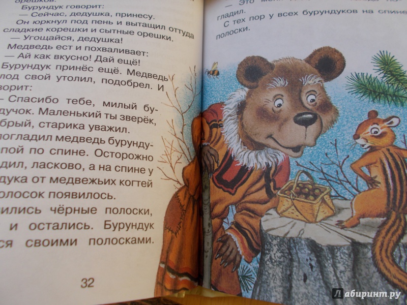 Иллюстрация 7 из 19 для Сказки про зверюшек | Лабиринт - книги. Источник: Микловда  Татьяна Валериевна