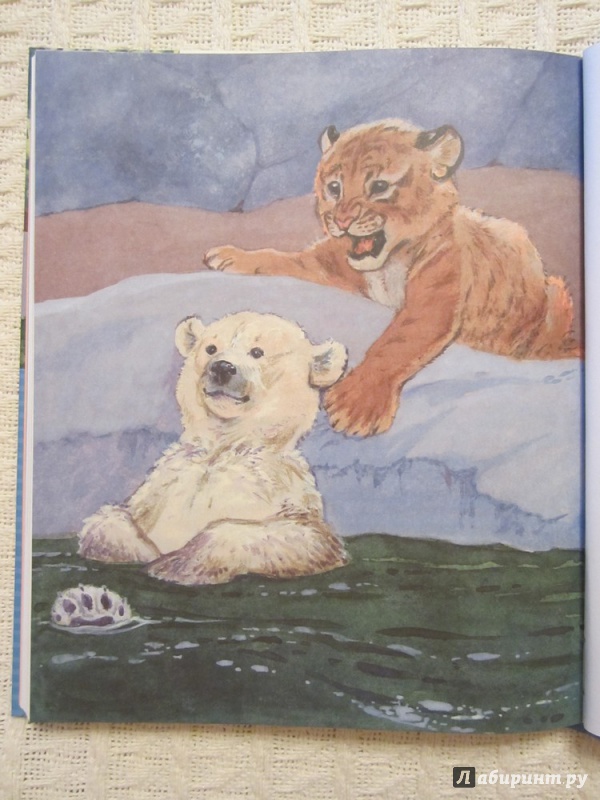 Иллюстрация 35 из 43 для Фомка - белый медвежонок - Вера Чаплина | Лабиринт - книги. Источник: ЮлияО