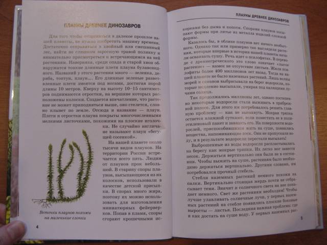 Иллюстрация 17 из 54 для Самые удивительные растения - Сергей Афонькин | Лабиринт - книги. Источник: varta