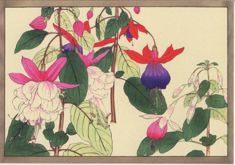 Иллюстрация 28 из 32 для Цветы Конана Танигами. На почтовых открытках | Лабиринт - сувениры. Источник: Anggva