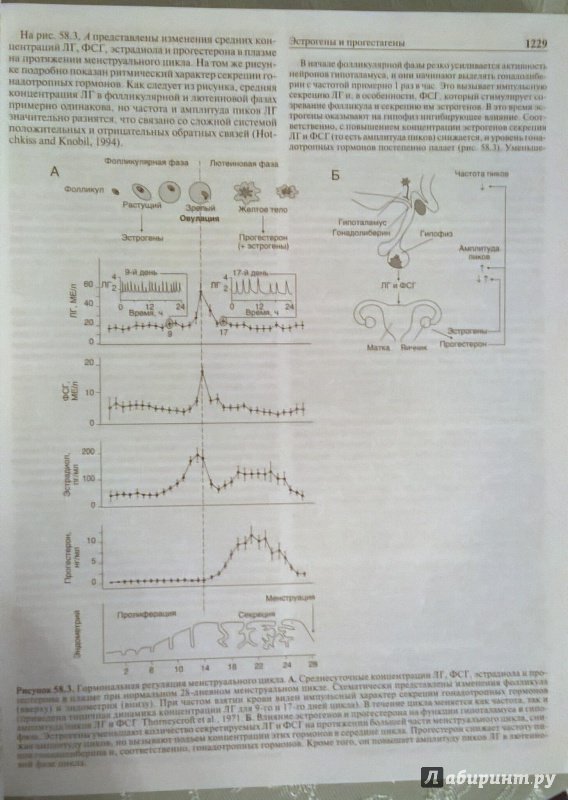 Иллюстрация 10 из 12 для Клиническая фармакология по Гудману и Гилману. Том 4 | Лабиринт - книги. Источник: Angreniel