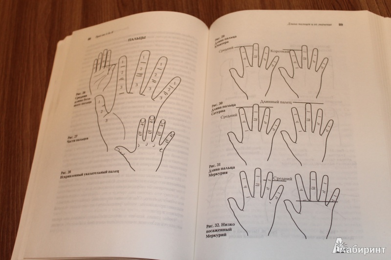 Иллюстрация 3 из 6 для Рука от А до Я. Основы хиромантии - Джудит Коллинз | Лабиринт - книги. Источник: Brunika