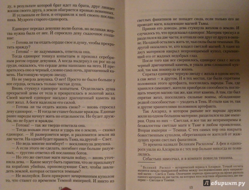 Иллюстрация 6 из 16 для Иржина. Случайное - не случайно - Милена Завойчинская | Лабиринт - книги. Источник: Katty