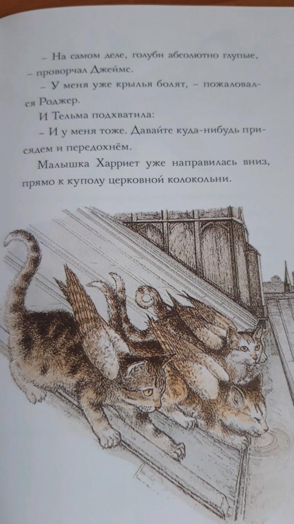 Иллюстрация 46 из 59 для Крылатые кошки - Гуин Ле | Лабиринт - книги. Источник: Лабиринт