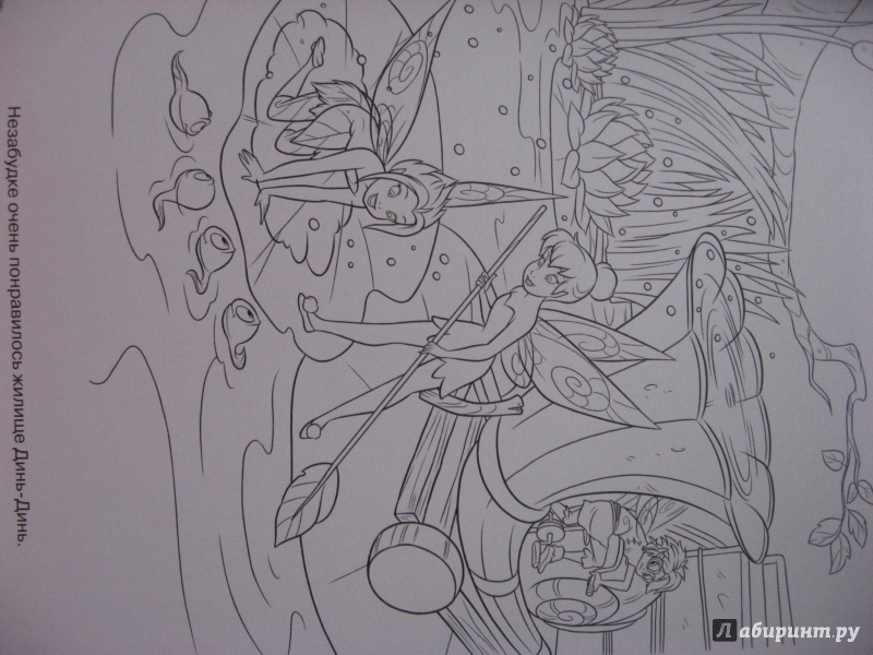 Иллюстрация 4 из 12 для Волшебная раскраска. Феи. Тайна Зимнего Леса (№14101) | Лабиринт - книги. Источник: Zaynetka
