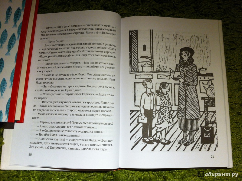 Иллюстрация 19 из 20 для Мы с Серёжкой близнецы - Наталья Долинина | Лабиринт - книги. Источник: ИрМур