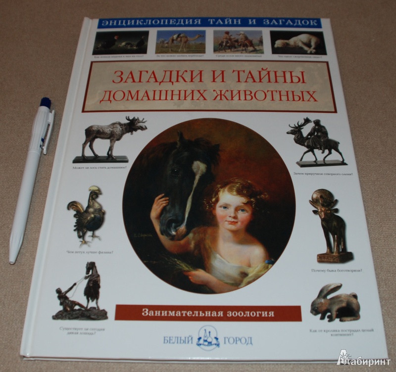 Иллюстрация 2 из 32 для Загадки и тайны домашних животных - Светлана Лаврова | Лабиринт - книги. Источник: Книжный кот