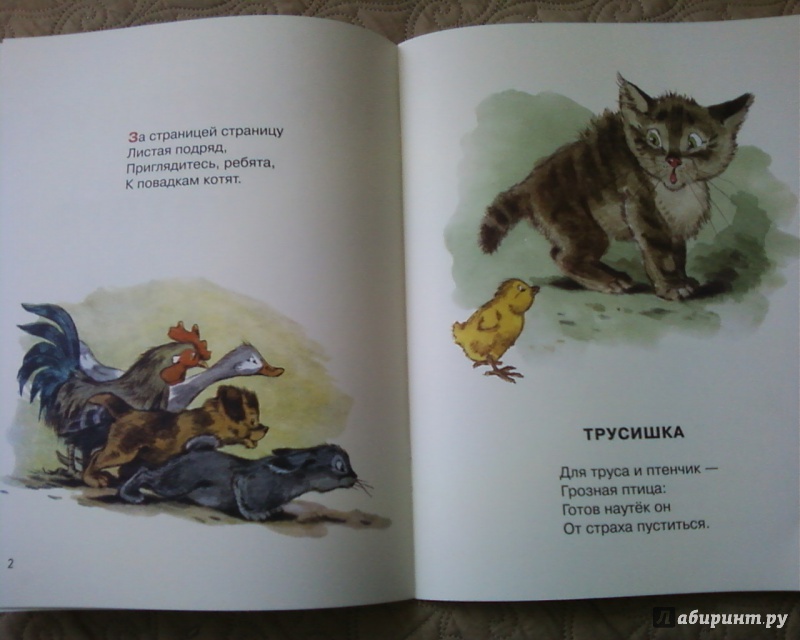 Иллюстрация 26 из 64 для Посмотрите какие котята - Владимир Матвеев | Лабиринт - книги. Источник: Родионова  Надежда