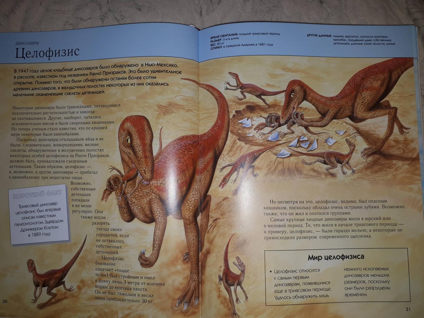Иллюстрация 52 из 58 для Вымершие животные. Полная энциклопедия | Лабиринт - книги. Источник: Лабиринт
