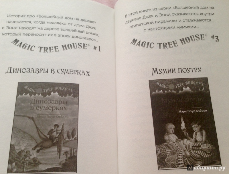 Иллюстрация 7 из 24 для Волшебный дом на дереве. Рыцарь на заре - Мэри Осборн | Лабиринт - книги. Источник: Псевдоним