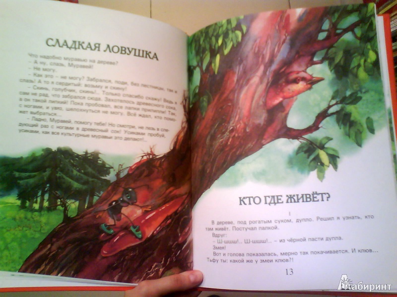 Иллюстрация 6 из 6 для Сказки доброго сверчка - Валерий Кастрючин | Лабиринт - книги. Источник: Мила