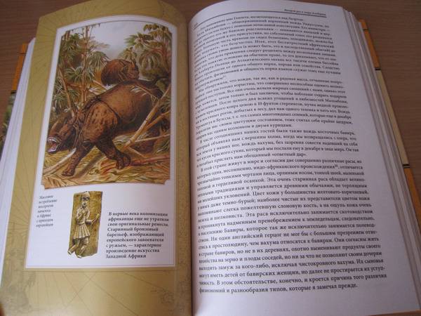 Иллюстрация 54 из 59 для В дебрях Африки - Генри Стенли | Лабиринт - книги. Источник: Змей Горыныч