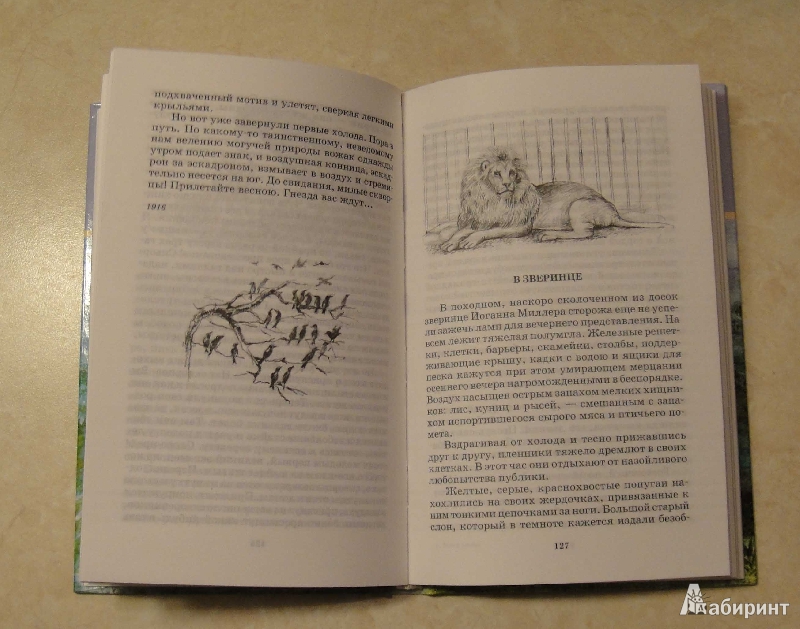 Иллюстрация 5 из 9 для Белый пудель - Александр Куприн | Лабиринт - книги. Источник: Natalia12345