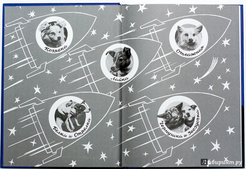 Иллюстрация 37 из 65 для Тяпа, Борька и ракета - Баранова, Велтистов | Лабиринт - книги. Источник: Букландия