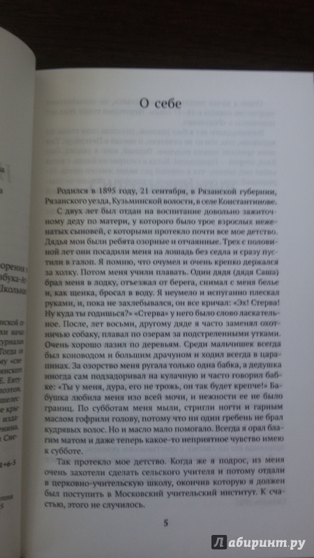 Иллюстрация 15 из 32 для Не жалею, не зову, не плачу... - Сергей Есенин | Лабиринт - книги. Источник: Лабиринт