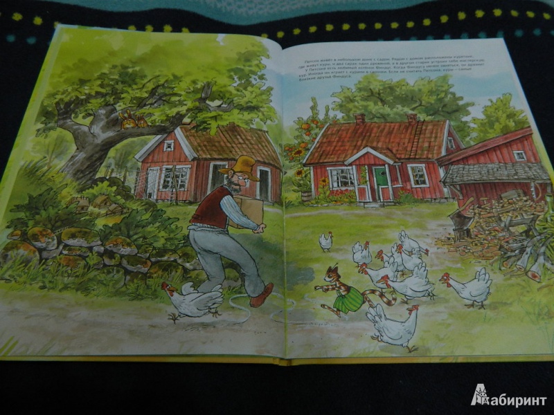 Иллюстрация 16 из 47 для Чужак в огороде - Свен Нурдквист | Лабиринт - книги. Источник: Мама Ольга