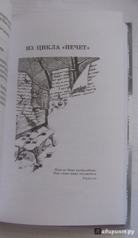 Иллюстрация 20 из 48 для Стихотворения и поэмы - Анна Ахматова | Лабиринт - книги. Источник: ДмиТриЙохохо
