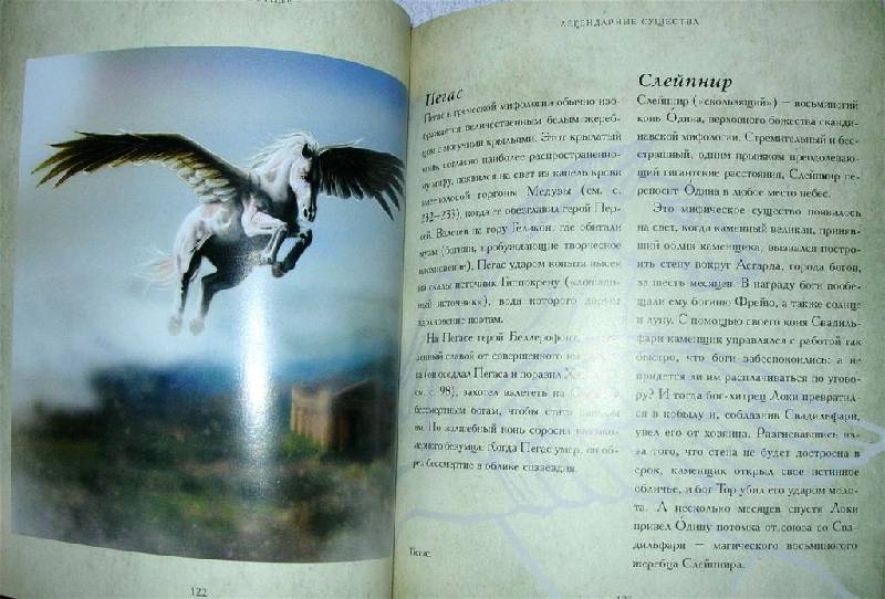 Иллюстрация 4 из 67 для Мифические существа. Все о персонажах мифов, легенд и сказок - Бренда Роузен | Лабиринт - книги. Источник: Rocio